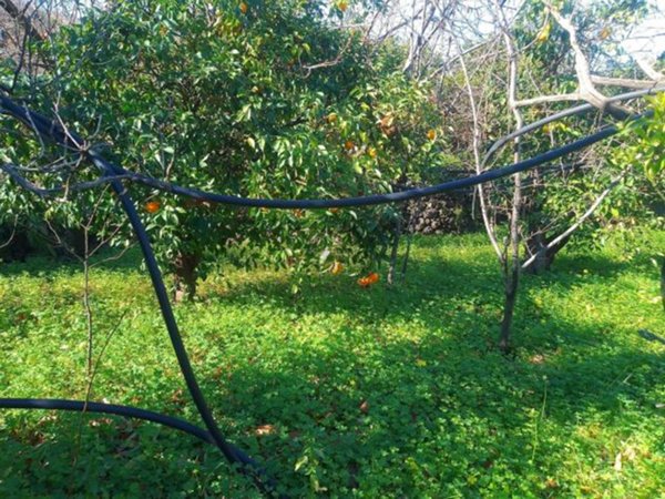 terreno agricolo in vendita a Giarre