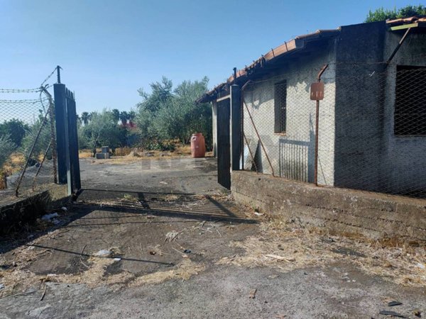 terreno agricolo in vendita a Giarre in zona San Leonardello