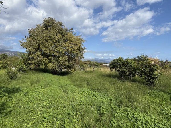 terreno agricolo in vendita a Giarre in zona Trepunti