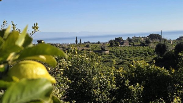 terreno agricolo in vendita a Giarre