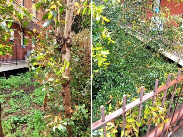 terreno agricolo in vendita a Giarre