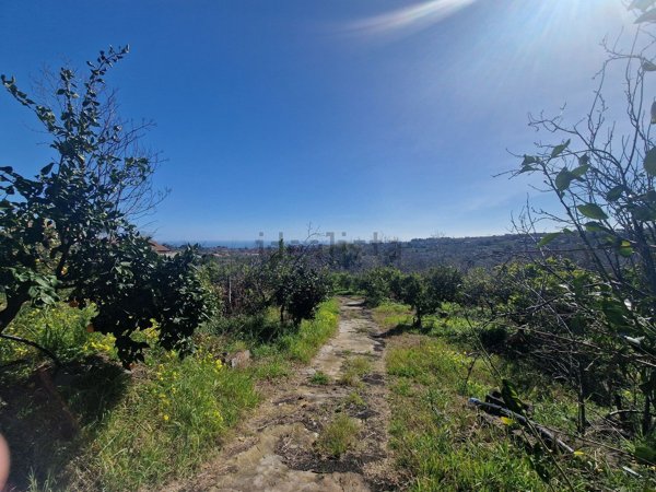 terreno agricolo in vendita a Giarre in zona Macchia