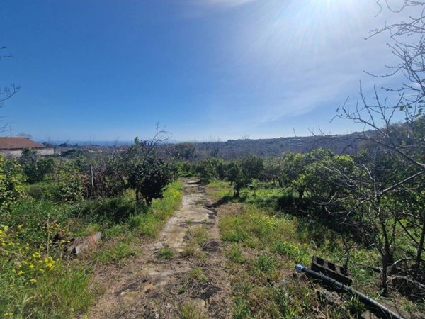 terreno agricolo in vendita a Giarre in zona Macchia