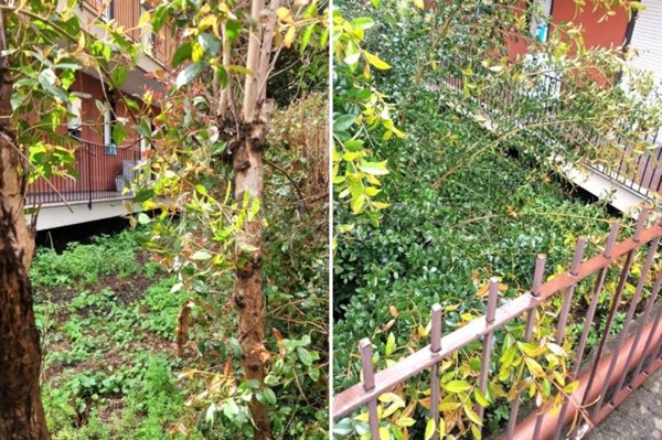 terreno agricolo in vendita a Giarre