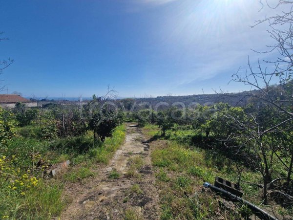 terreno agricolo in vendita a Giarre in zona Macchia