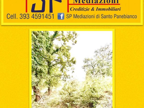 terreno agricolo in vendita a Giarre