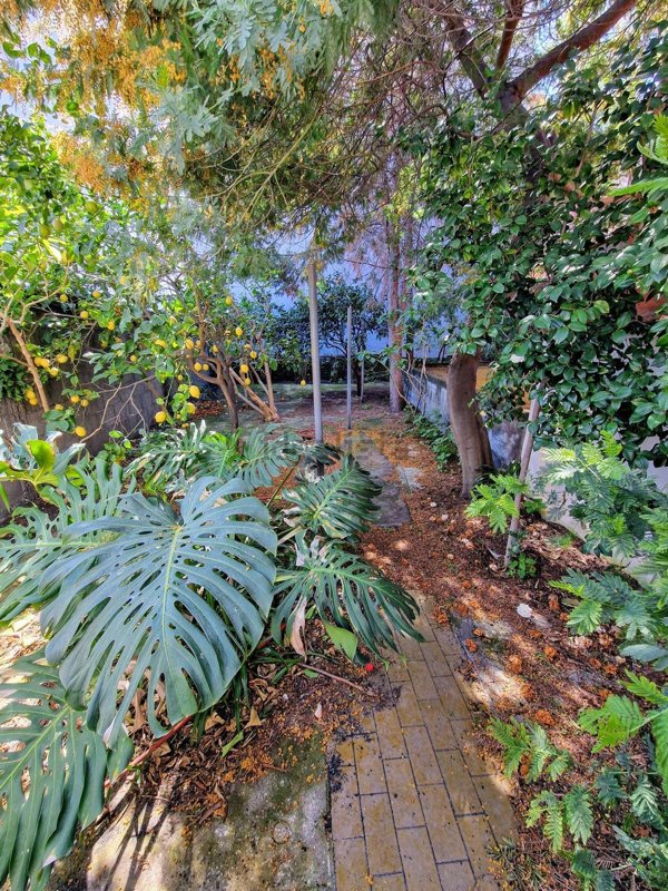 casa indipendente in vendita a Giarre