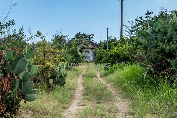 terreno agricolo in vendita a Giarre in zona Trepunti