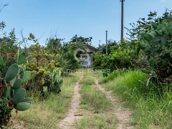 terreno agricolo in vendita a Giarre in zona Trepunti