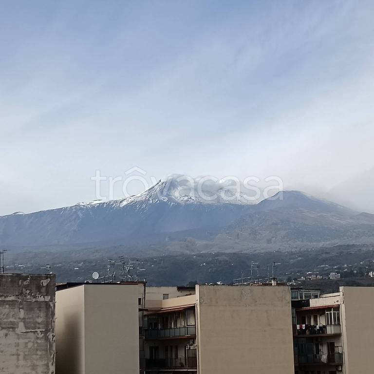 appartamento in vendita a Giarre
