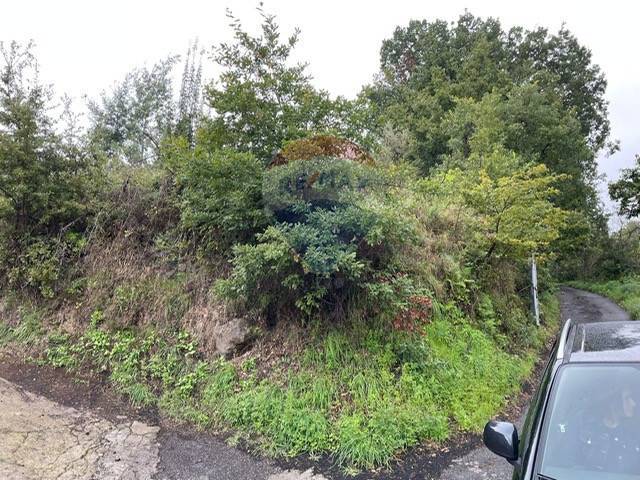 terreno agricolo in vendita a Giarre