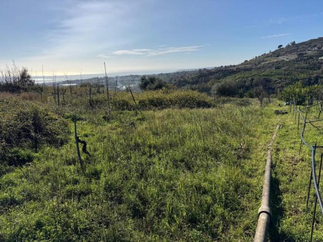 immagine annuncio 0 di 1