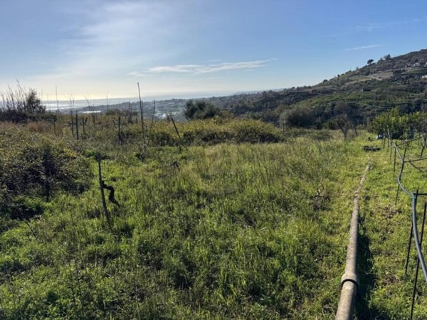 casa indipendente in vendita a Giarre