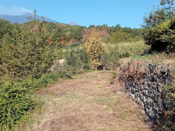terreno agricolo in vendita a Giarre