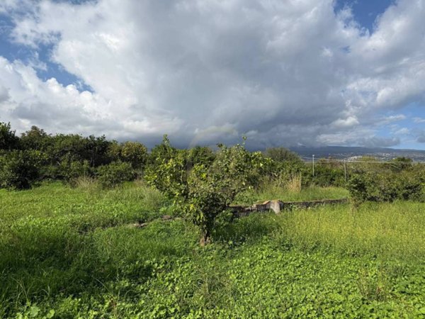 terreno agricolo in vendita a Giarre in zona Trepunti