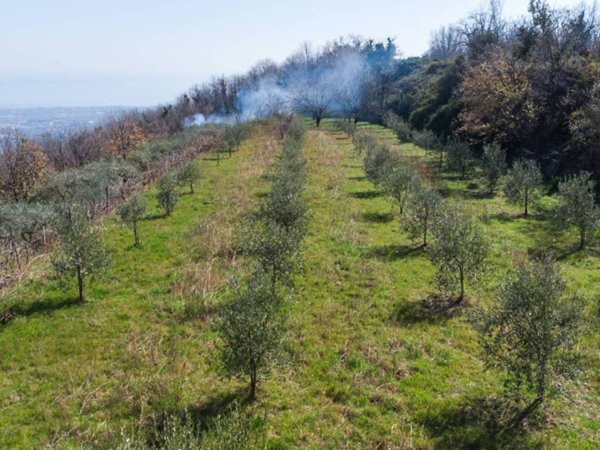 terreno agricolo in vendita a Giarre