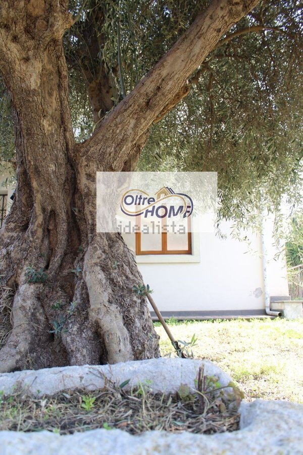 casa indipendente in vendita a Giarre