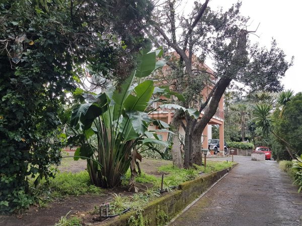 casa indipendente in vendita a Giarre