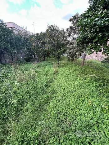 terreno agricolo in vendita a Giarre