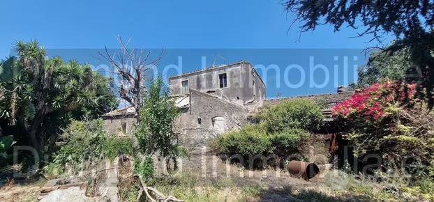 terreno agricolo in vendita a Giarre in zona Carruba