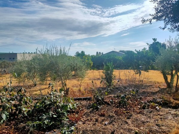 terreno in vendita a Giarre in zona San Leonardello