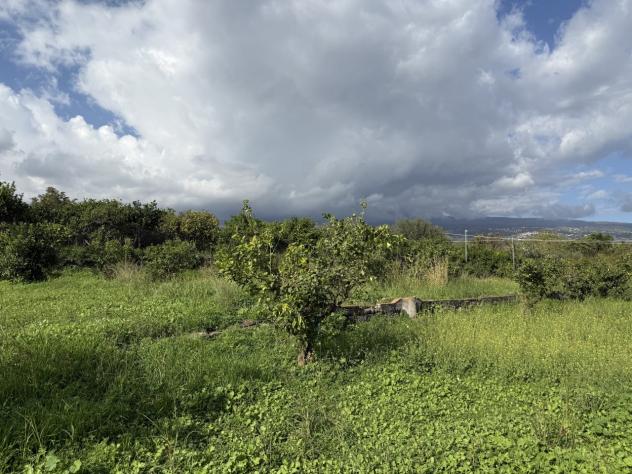 terreno agricolo in vendita a Giarre in zona Trepunti