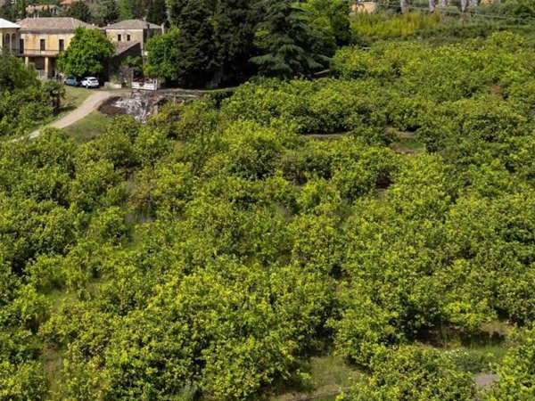 casa indipendente in vendita a Giarre