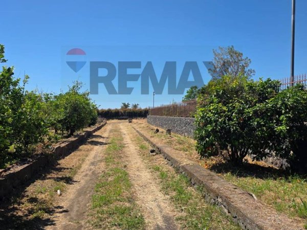terreno agricolo in vendita a Giarre in zona Altarello