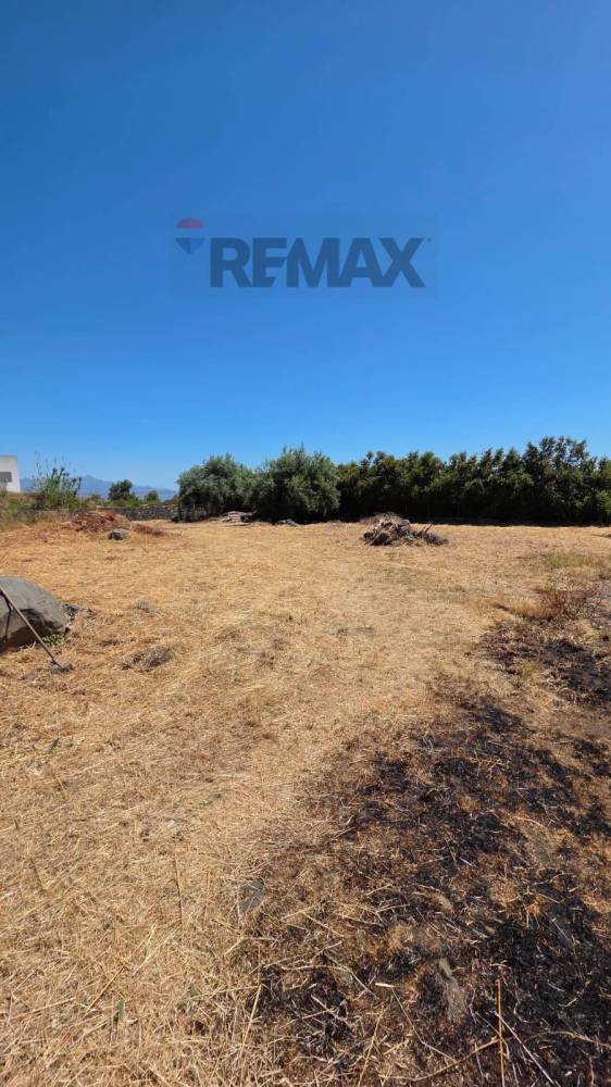 terreno agricolo in vendita a Giarre