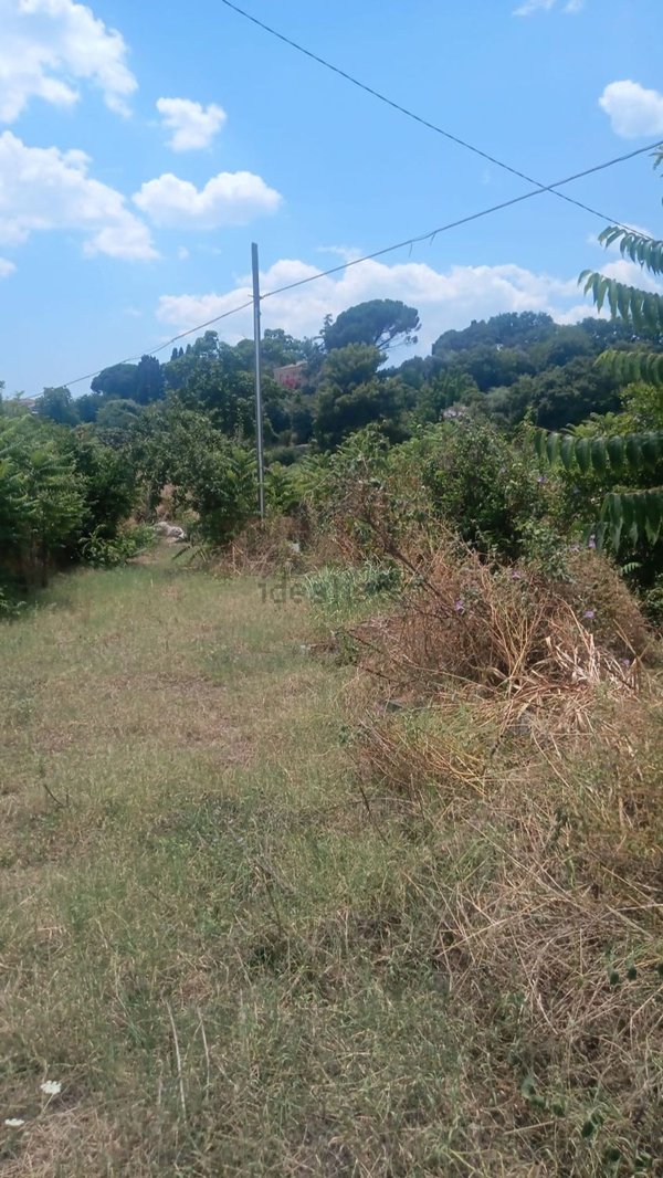 terreno agricolo in vendita a Giarre in zona San Leonardello