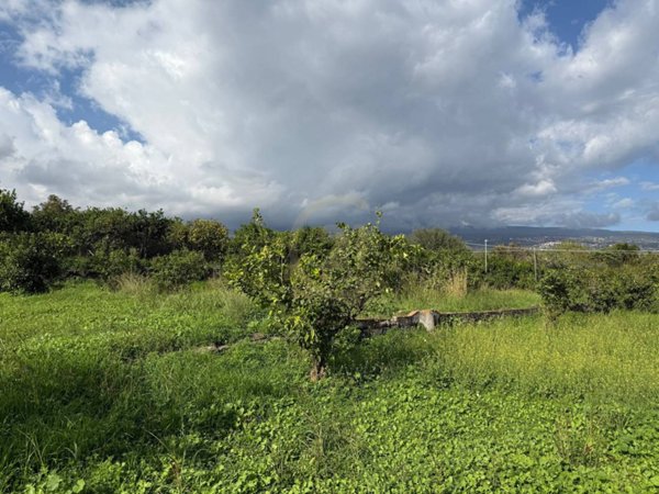terreno agricolo in vendita a Giarre in zona Trepunti