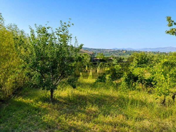 terreno agricolo in vendita a Giarre in zona San Giovanni Montebello