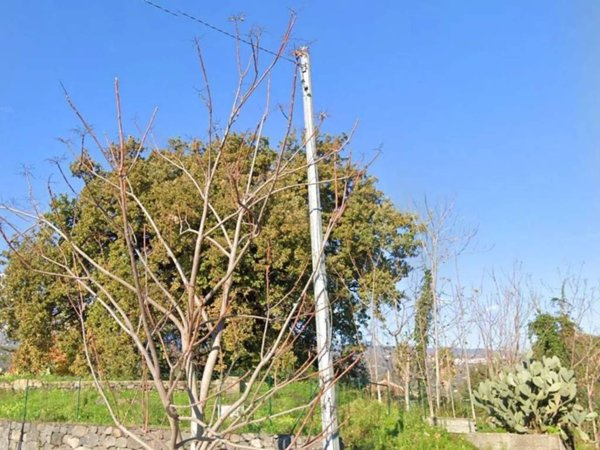 casa semindipendente in vendita a Giarre in zona Macchia