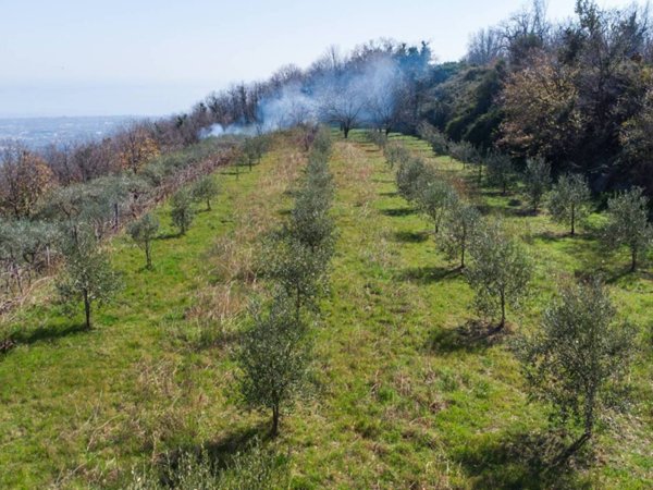 terreno agricolo in vendita a Giarre in zona San Giovanni Montebello