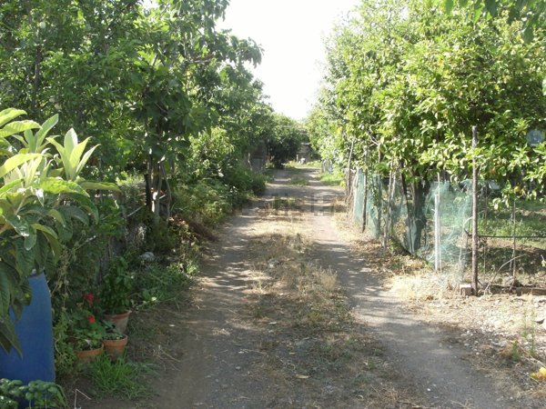terreno in vendita a Giarre in zona Trepunti