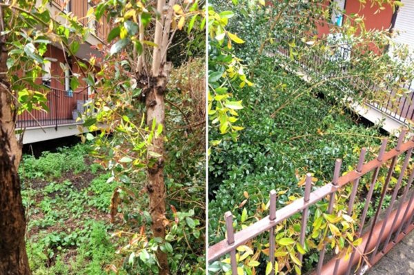 terreno in vendita a Giarre
