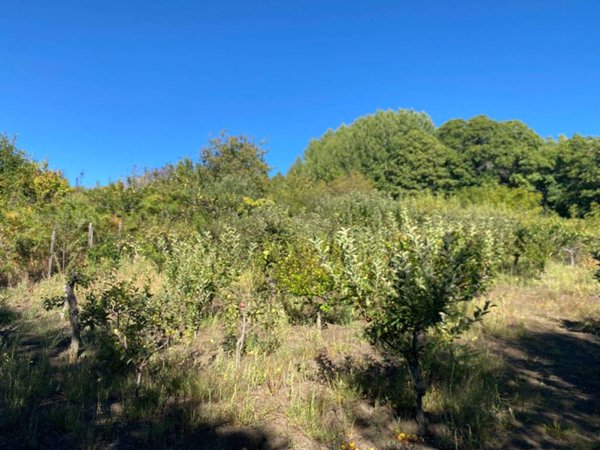 terreno in vendita a Giarre in zona Miscarello