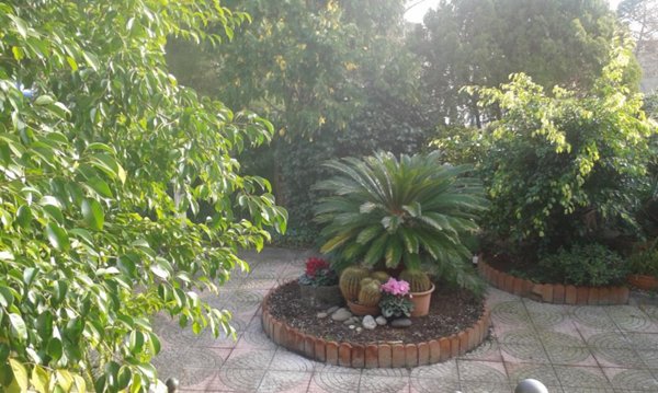 casa indipendente in vendita a Giarre