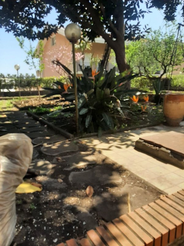 appartamento in vendita a Giarre