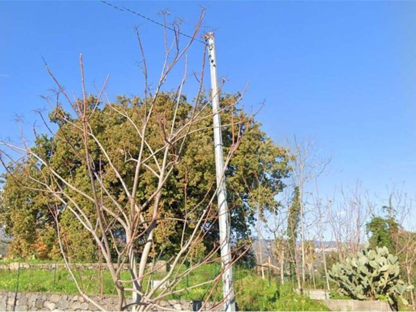 terreno in vendita a Giarre in zona Macchia