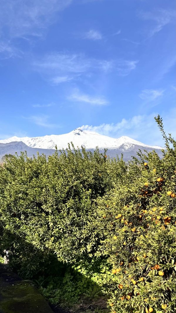 terreno in vendita a Giarre