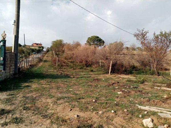 terreno agricolo in vendita a Grammichele