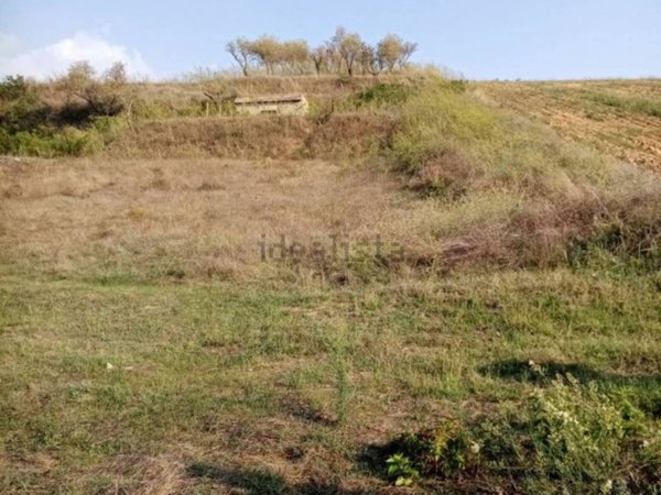terreno agricolo in vendita a Grammichele