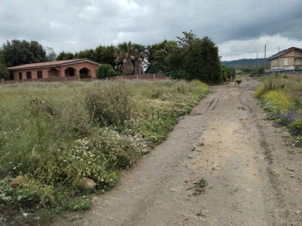 terreno agricolo in vendita a Grammichele