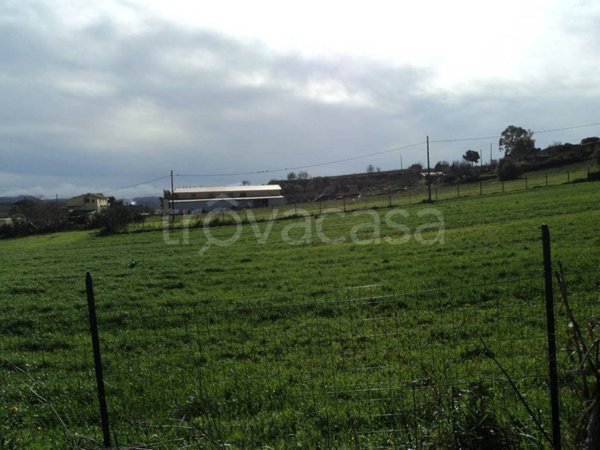 terreno agricolo in vendita a Grammichele