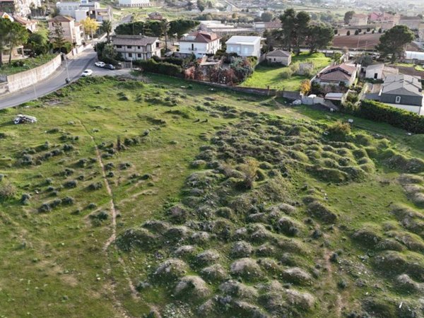 terreno agricolo in vendita a Grammichele
