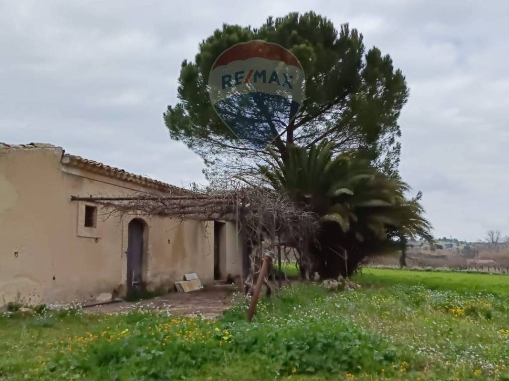 terreno agricolo in vendita a Grammichele