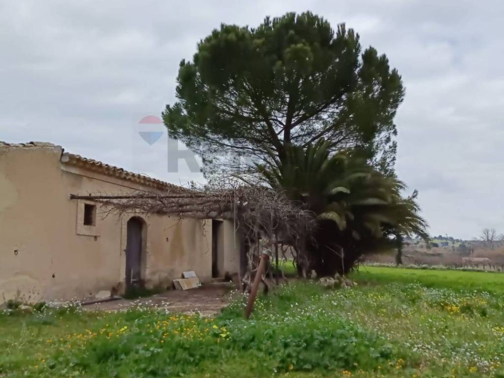 terreno agricolo in vendita a Grammichele