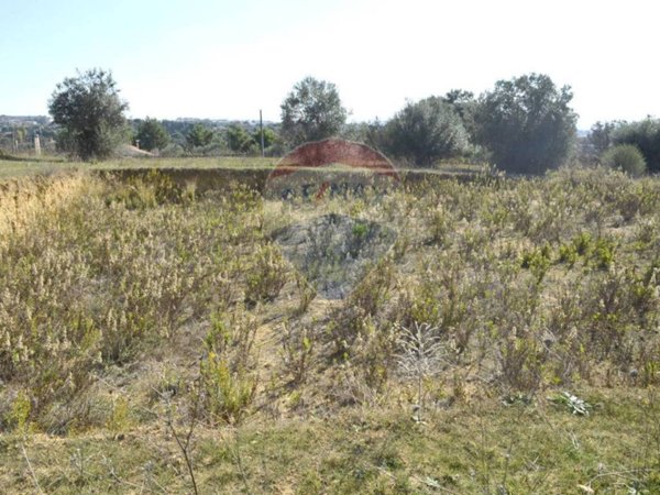 terreno edificabile in vendita a Grammichele