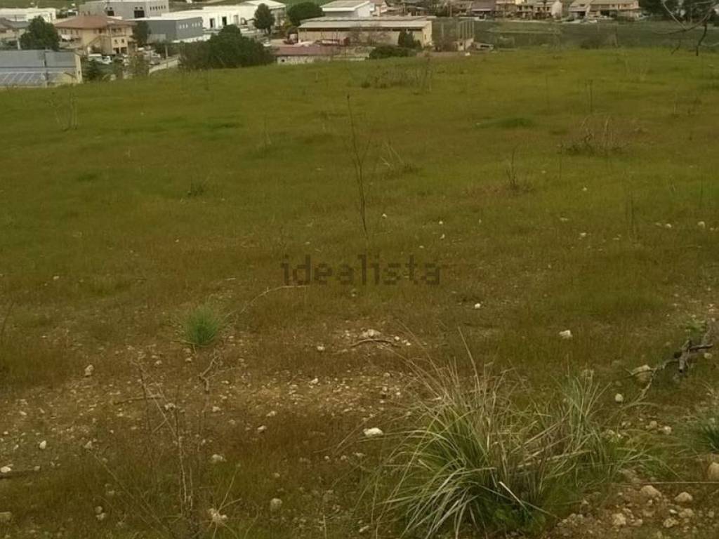 terreno agricolo in vendita a Grammichele